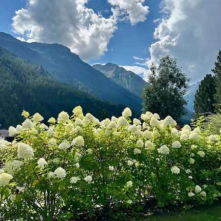 Ferienwohnung Wald Wald im Pinzgau Zewnętrze zdjęcie