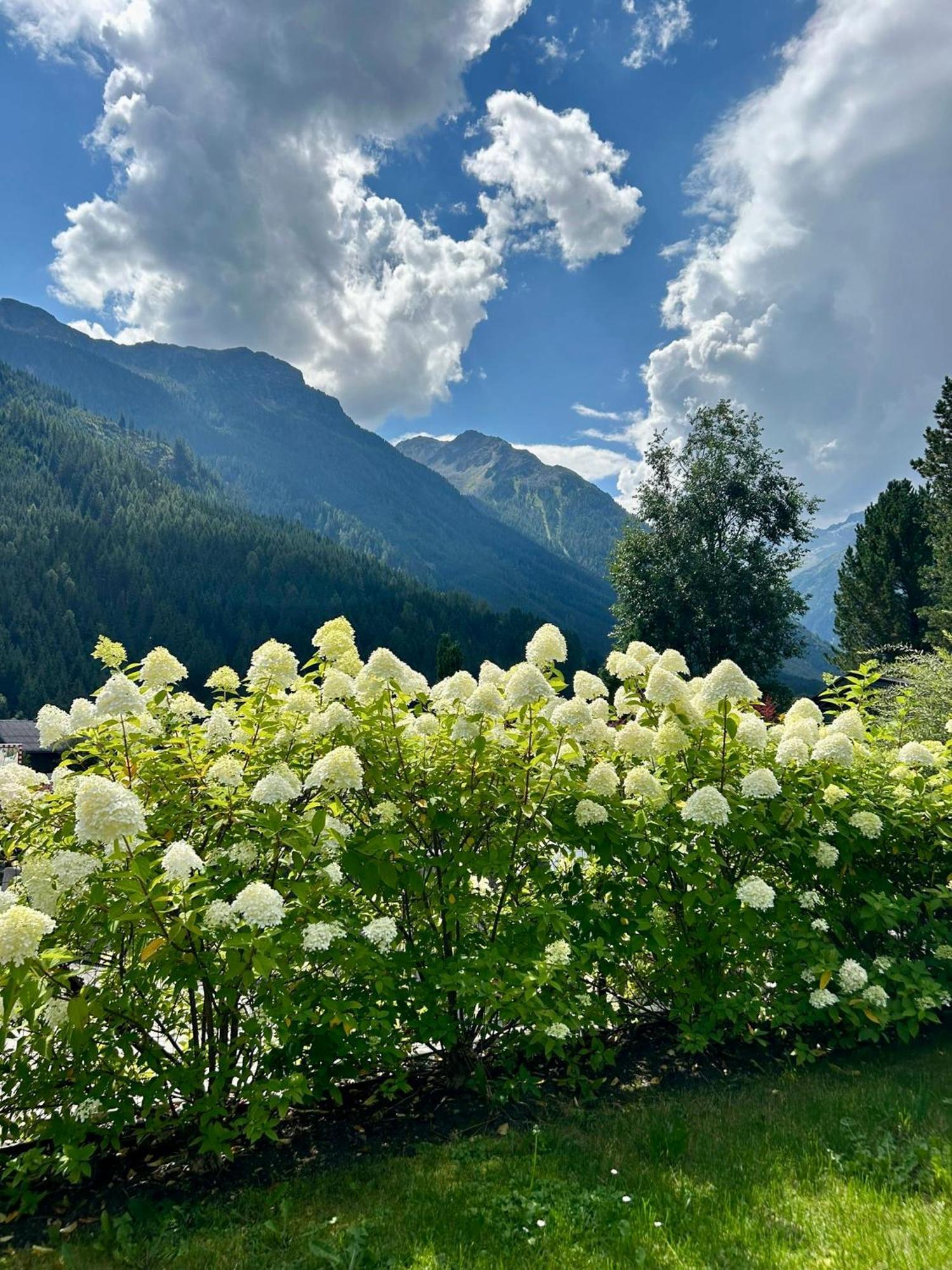 Ferienwohnung Wald Wald im Pinzgau Zewnętrze zdjęcie